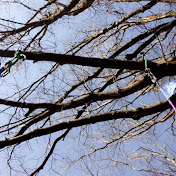 Profile Picture of Kylie Kline (@kyliekline2655) on Youtube