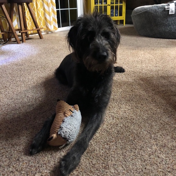 Profile Picture of Jake Fox (@jakefox226) on Poshmark