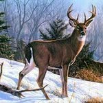 Profile Picture of Joseph Adams (@adams.joseph) on Instagram