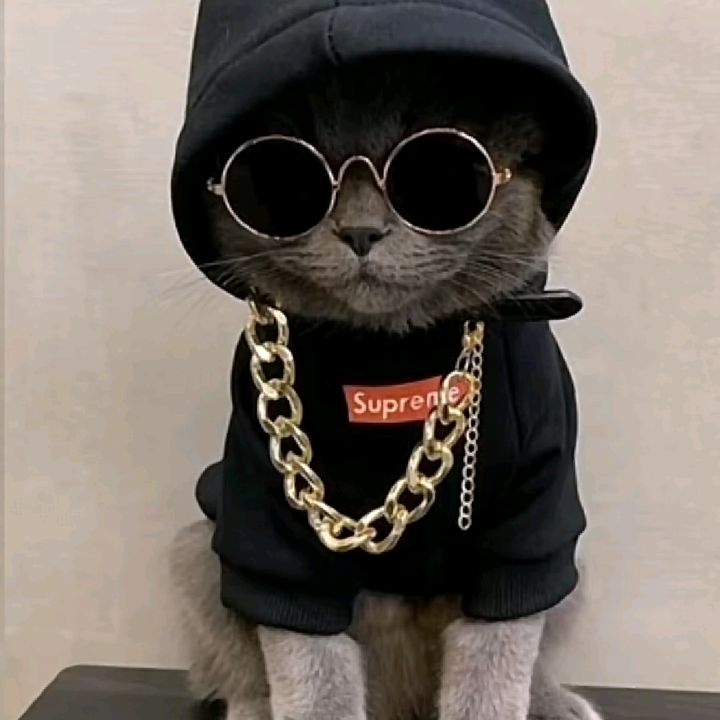 Profile Picture of SoyDiana.Aguirre8 (@briano.ff) on Tiktok