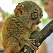 Profile Picture of Kimberly Kyle-Lovell (@Kimberk25) on Youtube