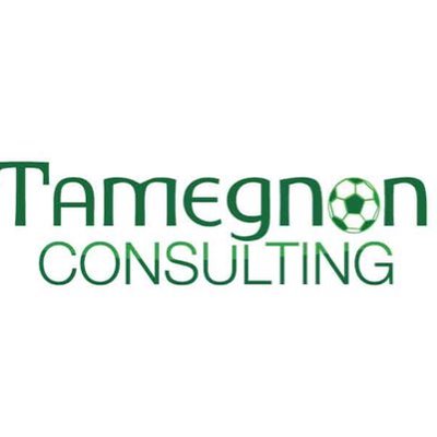 Tamegnon-Consulting - Twitter Profile Picture of Tamegnon-Consulting (@TamegnonConsult) on Twitter