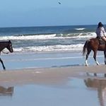 Profile Picture of Tom MacElhaney (@tommacelhaney) on Instagram