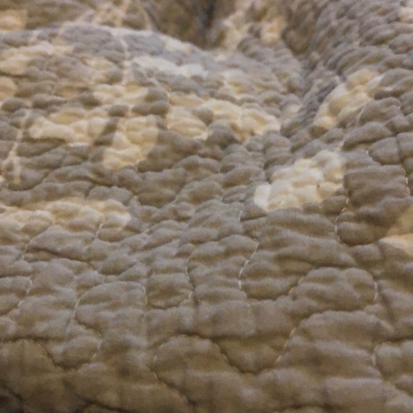 Profile Picture of Paul Hanzel (@paulahanzel) on Poshmark