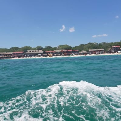 Profile Picture of Luz Marina Lizarazo (@LuzMarinaLizar8) on Twitter