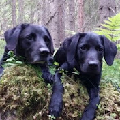 Profile Picture of Cecilia Becker (@ceciliabecker7755) on Youtube