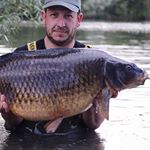 Profile Picture of Steve Gibbs (@gibbo_5) on Instagram