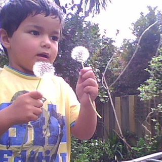 Profile Picture of Luke Wotton (@luke.wotton.338) on Facebook