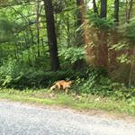 Profile Picture of Janet Doolittle (@janldoolittle121gmail._com) on Instagram