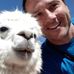 Profile Picture of Alexander Schumann (@alexander.schumann.585) on Facebook