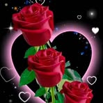 Profile Picture of Tony Taylor (@Tony-Taylor) on Facebook