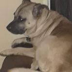 Profile Picture of Jason Bergeron (@Jason-Bergeron) on Facebook