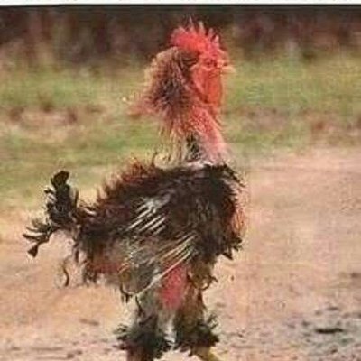 Profile Picture of Paul Faloon (@PaulFaloon) on Twitter