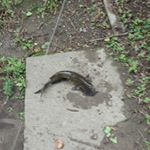 andrew bilotta - Instagram Profile Picture of andrew bilotta (@theandrewbilotta) on Instagram