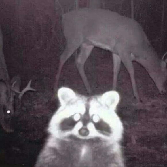 Profile Picture of Shelly Rust (@shellyshelly17) on Poshmark