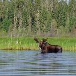 Profile Picture of KeithCressman (@keith.cressman) on Instagram