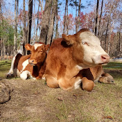 Profile Picture of Oscar & Akamu's Moovelous Adventures (@oscarakamusmoovelousadventures) on Youtube