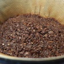 Profile Picture of Terry Choi (@snsterry) on Twitter