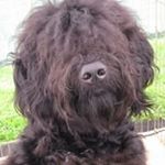 Profile Picture of Doris Braun Newkirk (@dorisbraunnewkirk) on Instagram