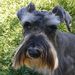 Profile Picture of John Pechulis (@jhnz33) on Pinterest