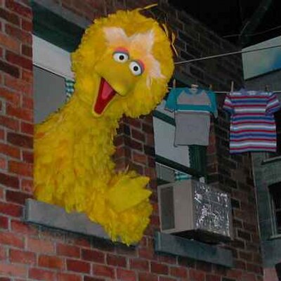 Nathan Owsley - Twitter Profile Picture of Nathan Owsley (@OwsleyBird) on Twitter