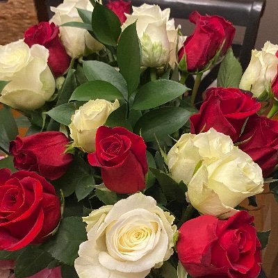 Profile Picture of Shelley Fish (@ShelleyFish17) on Twitter