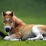 Profile Picture of Steve Randall (@smithrandallm20) on Instagram