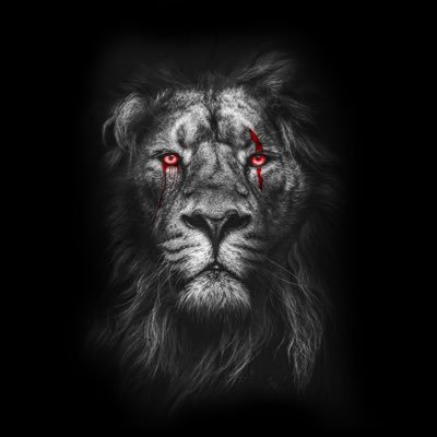 Profile Picture of Matt Hatala (@matthewhatala) on Twitter