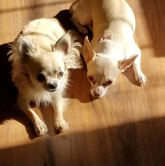 Profile Picture of Billie Mckay (@billiesue418) on Poshmark