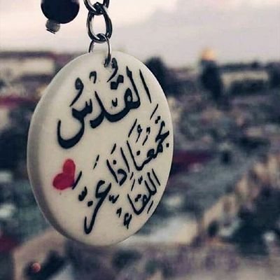 Profile Picture of Hala Matar (@HalaMatar8) on Twitter