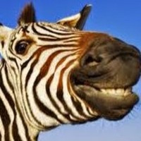 Profile Picture of Crystal Anton (@crystal-anton-1) on Quora