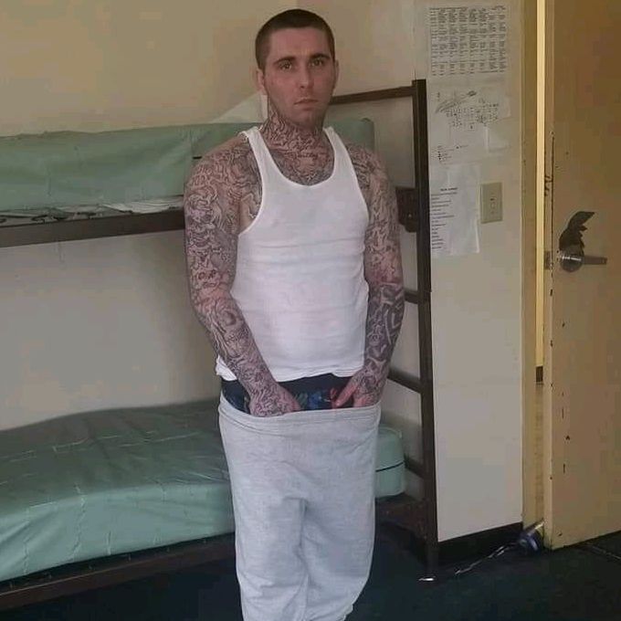 dannyboi - Tiktok Profile Picture of dannyboi (@danielstankovic21) on Tiktok