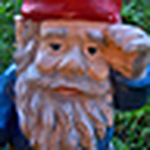 Profile Picture of Aaron's Lawn Gnome (@Aaron's Lawn Gnome) on Flickr