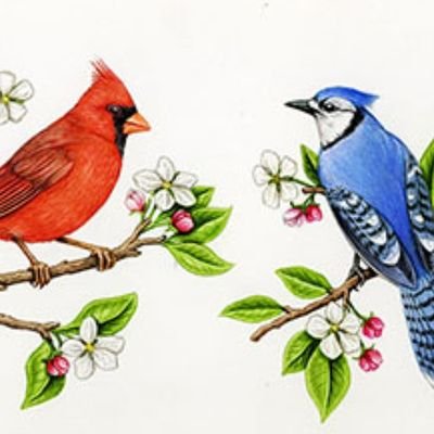 Profile Picture of Erin Elizabeth (@tilly_chasse) on Twitter