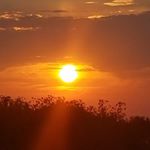 Profile Picture of Thomas Wise (@tomazwize) on Instagram