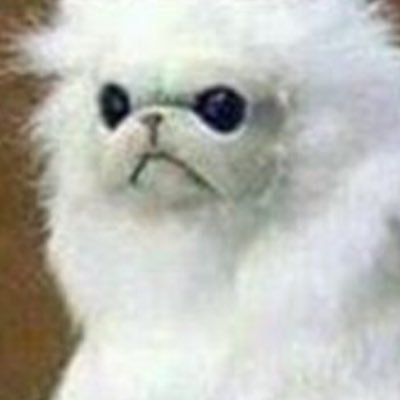 Profile Picture of Greg (@viktor73588571) on Twitter