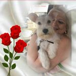 Profile Picture of Doris Taylor (@dtaylr1) on Instagram