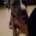 Profile Picture of Rebel Harkness (Rebel Baby) (@Rebel-Harkness) on Facebook