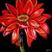 Profile Picture of Rene Beauchamp (@reneiebee) on Pinterest
