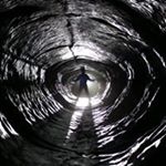 Profile Picture of Wulf Bramesfeld (@docdblu) on Instagram