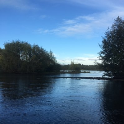 Profile Picture of Carlosquezadasanchez (@carlosquezadas3) on Twitter