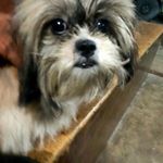Profile Picture of James Dupaya Siriban (@jamessiriban) on Instagram