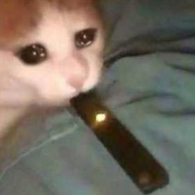 Profile Picture of Derek last name (@whale0il) on Pinterest