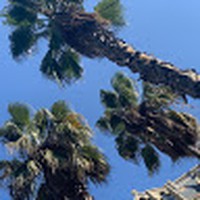 Profile Picture of Marcin Jankowski (@marcin-jankowski-22) on Quora