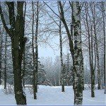 Profile Picture of Colinda (@colindarockfe) on Instagram