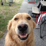 Profile Picture of Ed Cochran (@lakeman802) on Instagram