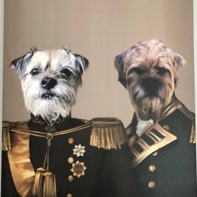 Profile Picture of Lord Magnus OBE (@MontyHuby) on Twitter