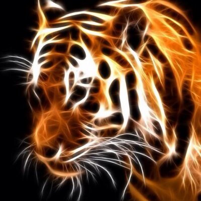 Profile Picture of Dawn (@ZacMann65) on Twitter