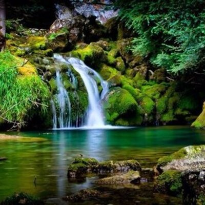 Profile Picture of Cassandra Lee Todd (@CarrawayC) on Twitter