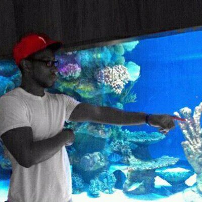 Profile Picture of Tim Tanner (@tannerzabeast) on Twitter